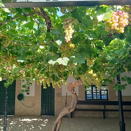 Casa Rural La Del Alba Seria Argamasilla De Alba Ngoại thất bức ảnh