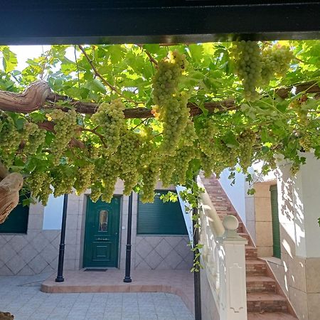 Casa Rural La Del Alba Seria Argamasilla De Alba Ngoại thất bức ảnh