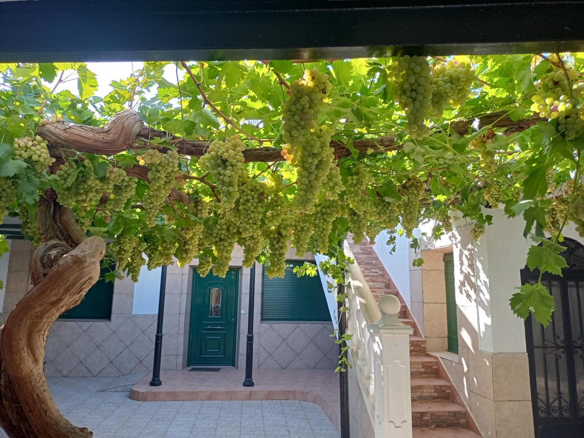 Casa Rural La Del Alba Seria Argamasilla De Alba Ngoại thất bức ảnh